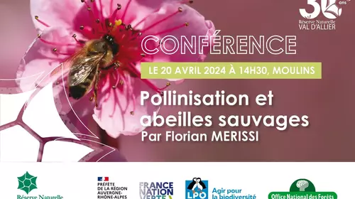 Conférence sur la pollinisation et les abeilles sauvages