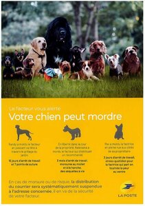 Agressions canines   La Poste