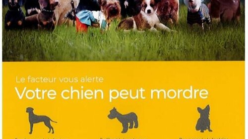 Agressions canines   La Poste