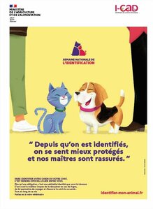 Identification des animaux de compagnie