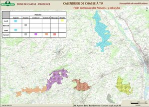 Jour de chasse - Forêt de Moladier