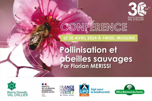 Conférence sur la pollinisation et les abeilles sauvages